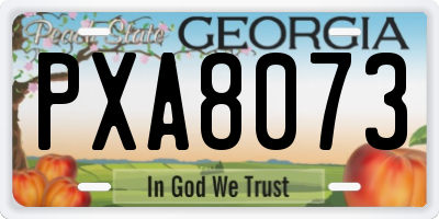 GA license plate PXA8073