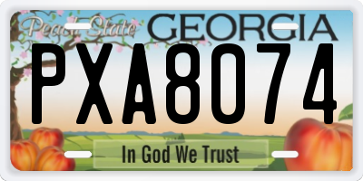 GA license plate PXA8074