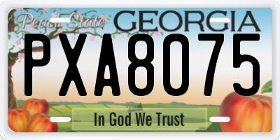 GA license plate PXA8075