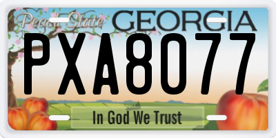 GA license plate PXA8077