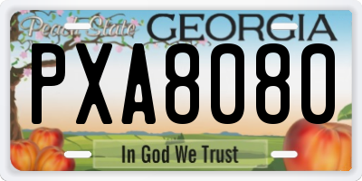 GA license plate PXA8080