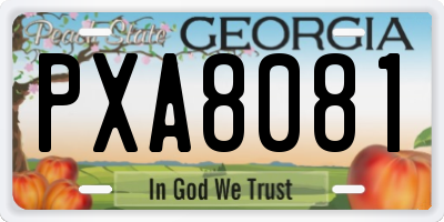 GA license plate PXA8081