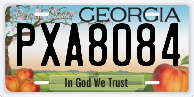GA license plate PXA8084