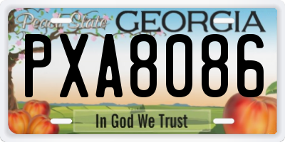 GA license plate PXA8086