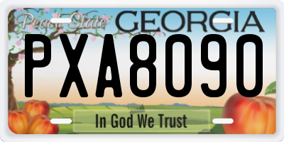 GA license plate PXA8090