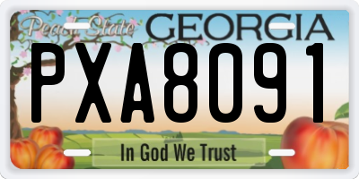 GA license plate PXA8091