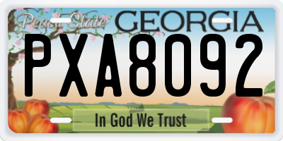 GA license plate PXA8092