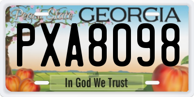 GA license plate PXA8098