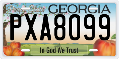 GA license plate PXA8099