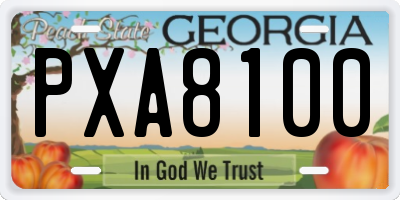 GA license plate PXA8100