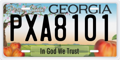 GA license plate PXA8101