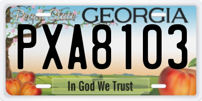 GA license plate PXA8103