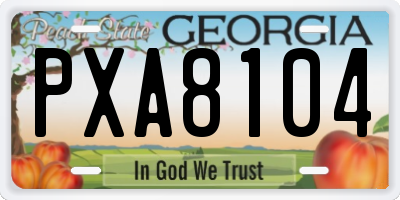 GA license plate PXA8104