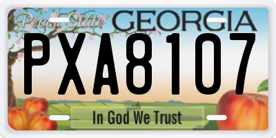 GA license plate PXA8107