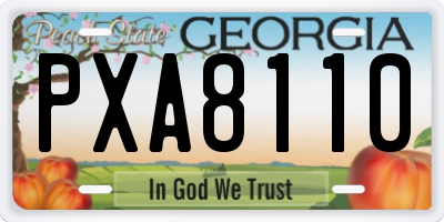 GA license plate PXA8110