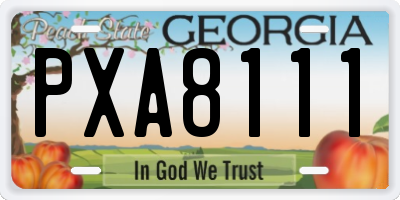 GA license plate PXA8111