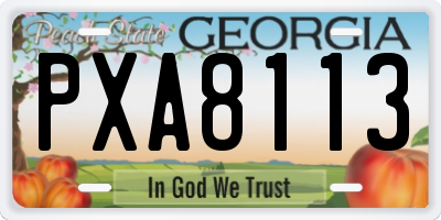 GA license plate PXA8113