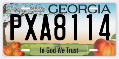 GA license plate PXA8114