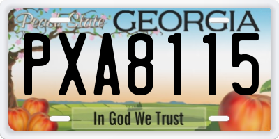 GA license plate PXA8115