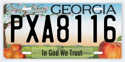 GA license plate PXA8116