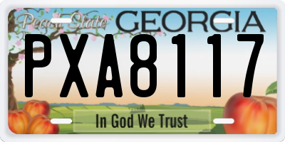 GA license plate PXA8117