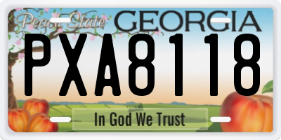 GA license plate PXA8118
