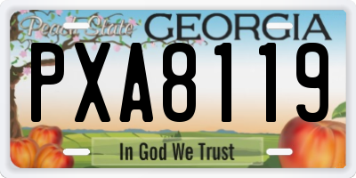 GA license plate PXA8119