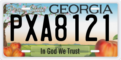 GA license plate PXA8121