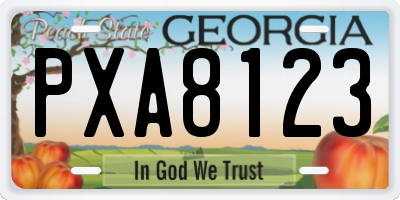 GA license plate PXA8123