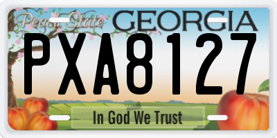 GA license plate PXA8127