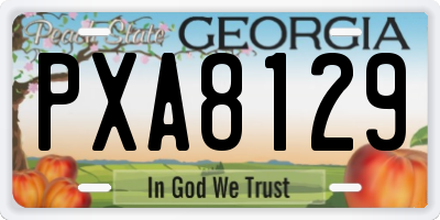 GA license plate PXA8129