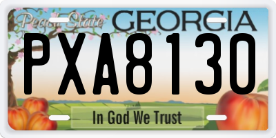 GA license plate PXA8130