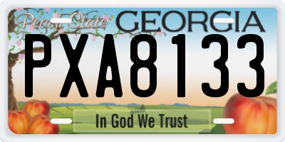 GA license plate PXA8133