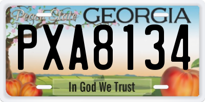 GA license plate PXA8134