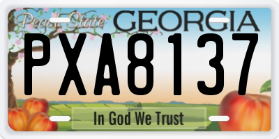 GA license plate PXA8137