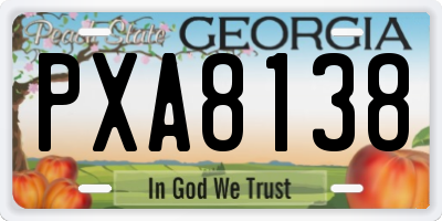 GA license plate PXA8138