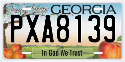 GA license plate PXA8139