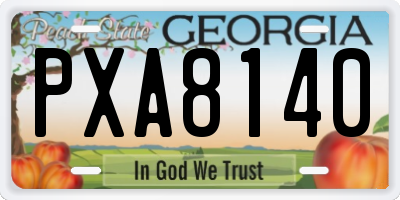 GA license plate PXA8140