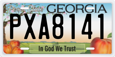 GA license plate PXA8141