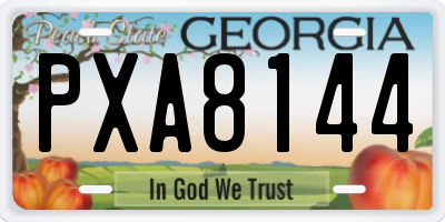 GA license plate PXA8144