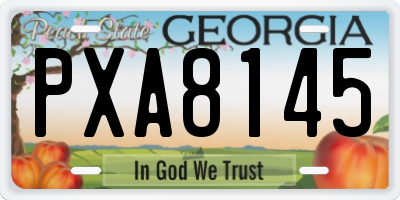 GA license plate PXA8145