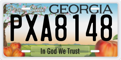 GA license plate PXA8148