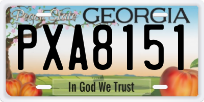 GA license plate PXA8151