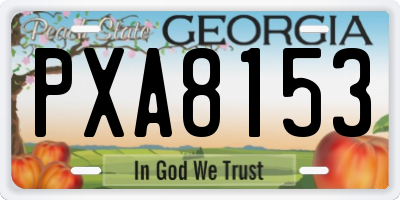 GA license plate PXA8153