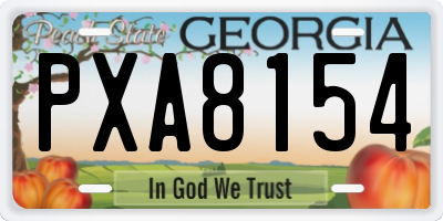 GA license plate PXA8154