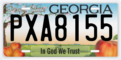 GA license plate PXA8155