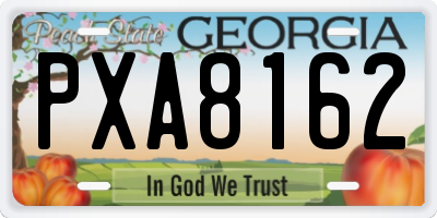 GA license plate PXA8162