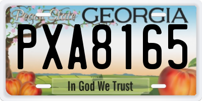 GA license plate PXA8165