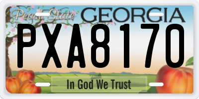 GA license plate PXA8170