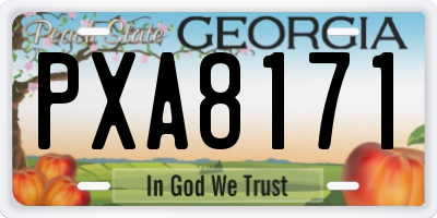 GA license plate PXA8171